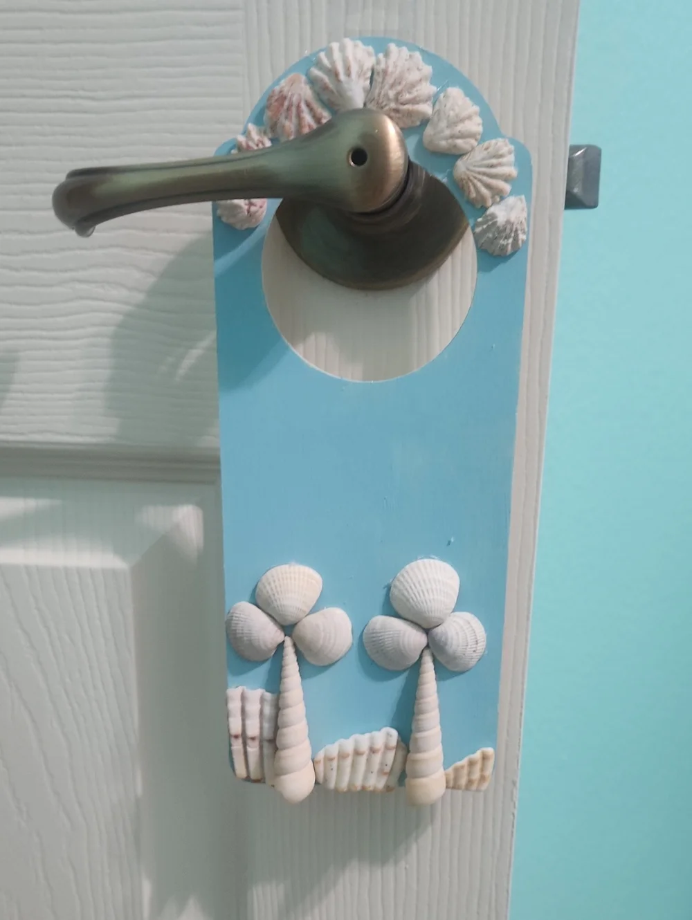 N/A coastal door